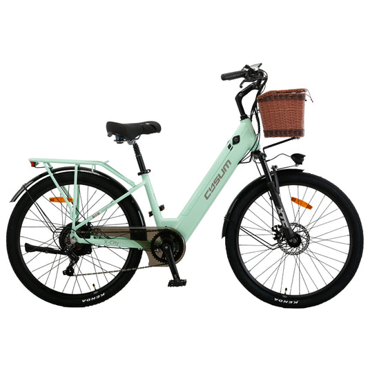 Electric Bike Cysum light