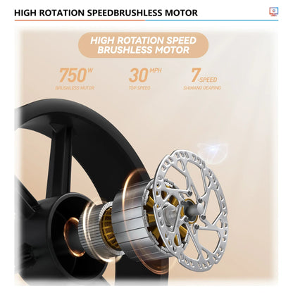 E-BIKE JANSNO X70 750W 48V 34Ah Off-Road Tyre Electric Bike Hydraulic Brake Removable Dual Battery Electric Bike Adult