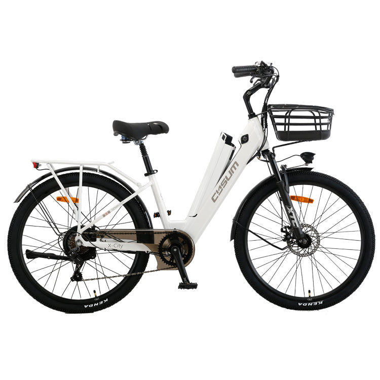 Electric Bike Cysum light