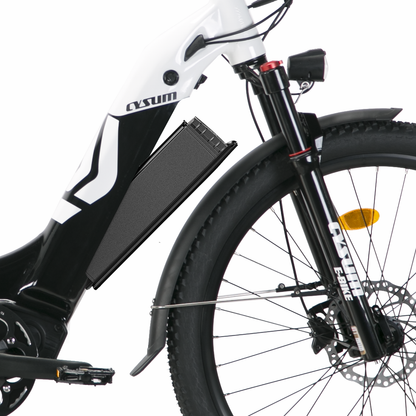 Electric bike Cysum Panda
